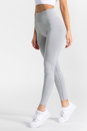 Classy Seamless Leggings "Hellgrau" - TEVEO
